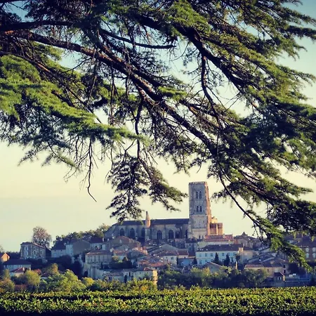 Tatil Evi La Maison Du Vignoble - Piscine, Tennis, Wallbox - Lectoure